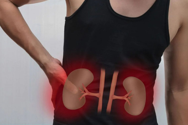 சிறுநீரக சக்தியை இரட்டிப்பாகும் சில முறைகள் | Some Methods To Double Kidney Power