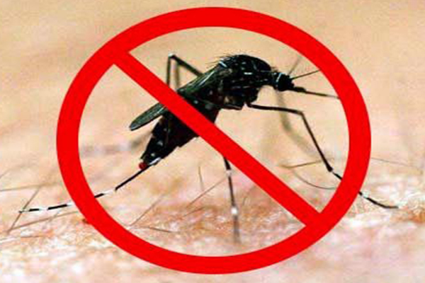 நாட்டில் நான்கு மாவட்டங்களில் அதிகரிக்கும் டெங்கு நோய் தாக்கம் | Increased Risk Of Dengue In Four Provinces