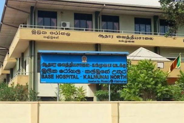 கல்முனையில் திடீரென வேகமாக பரவும் புதிய வைரஸ் | A New Virus Spreading Rapidly In Kalmunai