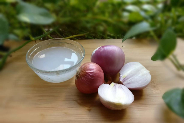 புருவம் அடர்த்தியாக வளர வேண்டுமா? இதை மட்டும் செய்தாலே போதும் | Eye Brow Growth Super Tips