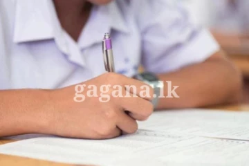 ශිෂ්‍යත්ව විභාගය අසමත් සිසුන් 146ක් නැවත සමීක්ෂණයෙන් සමත් වෙලා..