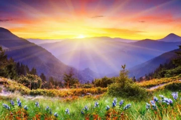 சூரிய உதயத்தை ரசிப்பதற்கான காரணம் என்ன தெரியுமா? ஆய்வு கூறும் புதிய விளக்கம்!