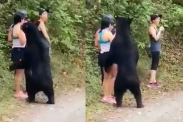 கரடியிடம் சிக்கிய இளம்பெண்: புத்திசாலித்தனமாக தப்பிய வைரல் வீடியோ!