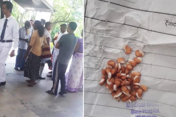 மூலிகை செடியின் பழ விதைகளை உட்கொண்ட மாணவர்கள் வைத்தியசாலையில் அனுமதி