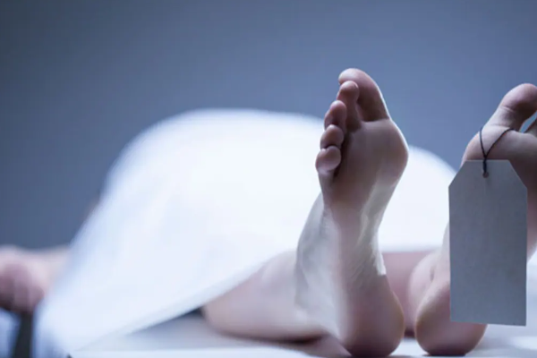 இலங்கையில் பிள்ளைகளின் பசியை போக்க முயன்ற தாய் பலி | Mother Killed Trying Her Children S Hunger
