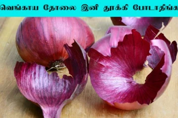 Onion Peel: வெங்காயம் உறிச்சா தோலை இனி குப்பையில் போடாதீங்க