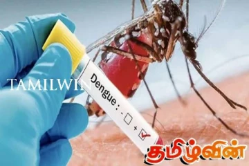 யாழில் தொடர்ந்து நான்கு நாட்கள் விசேட டெங்கு ஒழிப்பு நடவடிக்கை