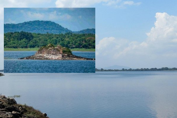 19 ஆண்டுகளுக்குப் பிறகு பராக்கிரம சமுத்திரத்திலிருந்து வெளிவந்த சீதை மாளிகை | Seetha Maligawa Released After 19 Years
