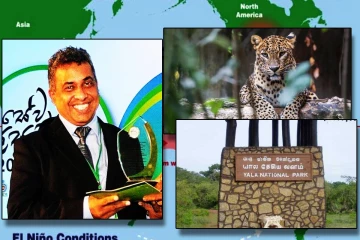 எல் நினோ நிலைமைகளால் பாதிக்கப்பட்ட யாலா விலங்குகள்