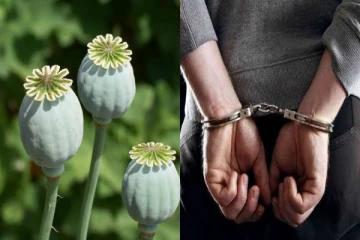 வீட்டுப்பாடம் செய்யாததால் கண்டித்த தந்தை - போதைப்பொருள் வழக்கில் சிக்க வைத்த 10 வயது மகன்