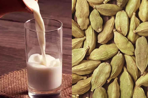 தூங்க முதல் பாலில் ஏலக்காய் சேர்த்து குடித்தால் என்ன பலன்? | Add Cardamom To Bedtime Milk Benifits In Body
