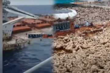 கப்பல் கடலில் கவிழ்ந்ததில் 15000 ஆடுகளுக்கு நேர்ந்த கதி!