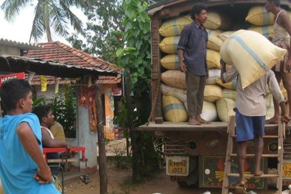 அநாவசியமான முறையில் அரிசி இறக்குமதி: முதித் பெரேரா குற்றச்சாட்டு | Rice Is Imported For Profit அநாவசியமான முறையில் அரிசி இறக்குமதி: முதித் பெரேரா குற்றச்சாட்டு | Rice Is Imported For Profit