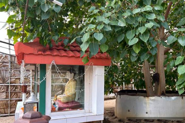 கச்சத்தீவு புத்தர் சிலை விவகாரம்: ஆயர் இல்லம் வெளியிட்டுள்ள அறிவிப்பு | Removal Of The Buddha Statue In Kachatheaiva