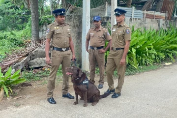 மோப்ப நாய்களுடன் வேட்டையில் இறங்கிய பொலிஸார்!(Photos)