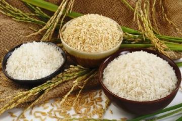 நாட்டு அரிசியின் விலை 300 ரூபாய் வரை அதிகரிக்கும்! மக்களின் தலை மீது எகிறும் சுமை