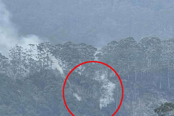 சிவனொளிபாதமலை வனப்பகுதியில் திடீர் தீப்பரவல் | Fire Breaks Out In Sivanolipadhamalai Forest Area