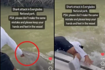 ஆற்றில் கைவிட்ட மீனவருக்கு காத்திருந்த அதிர்ச்சி: தண்ணீருக்குள் கவ்வி இழுத்த சுறா: வீடியோ