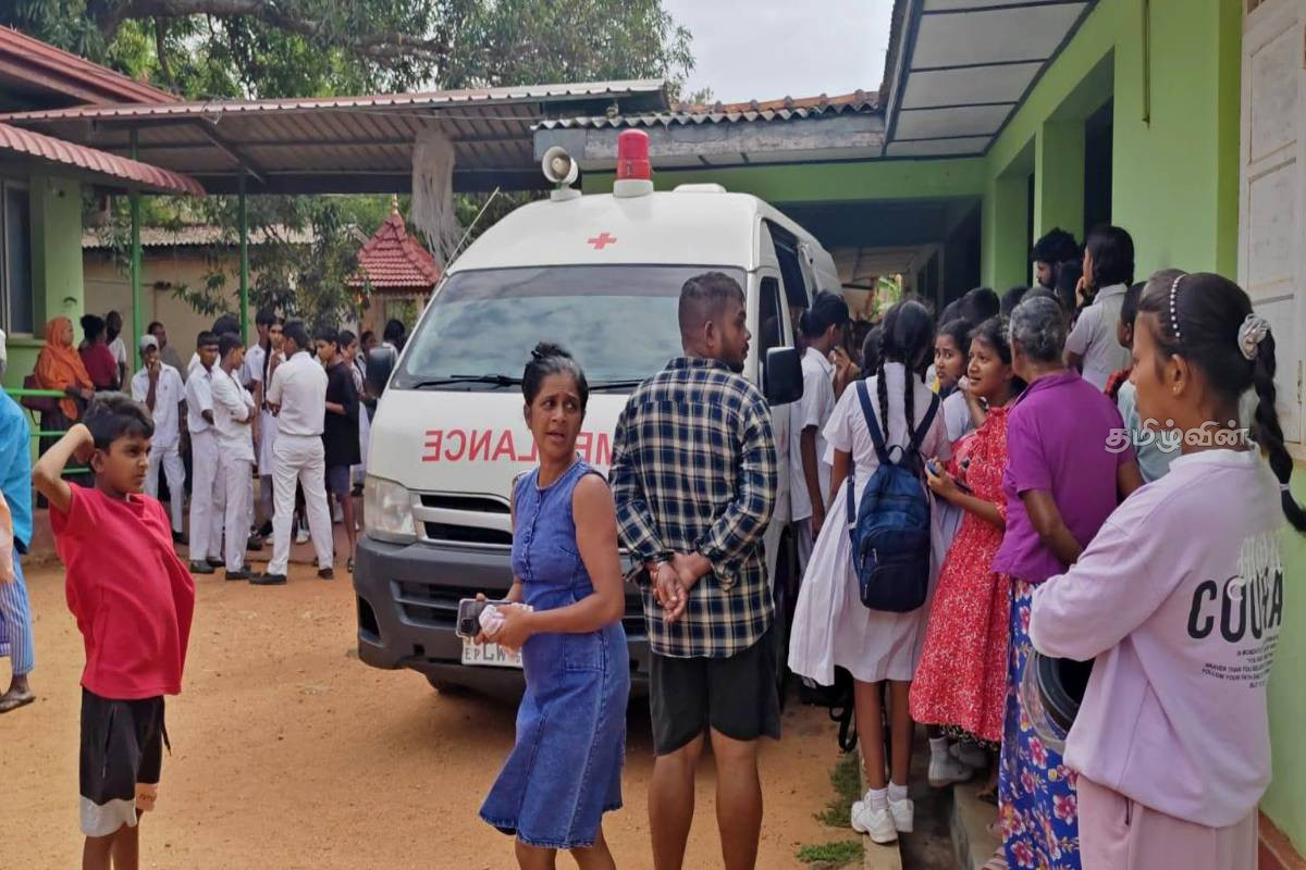 குளவிக் கொட்டுக்கு இலக்கான 30 மாணவர்கள் வைத்தியசாலையில் அனுமதி | 30 Students Admitted To Hospital குளவிக் கொட்டுக்கு இலக்கான 30 மாணவர்கள் வைத்தியசாலையில் அனுமதி | 30 Students Admitted To Hospital