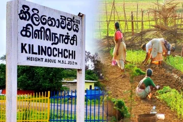 கிளிநொச்சி மாவட்டத்தில் விவசாயிகள் கையொப்பம் பெறப்படவில்லை! அதிகாரிகள் விளக்கம்