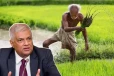 விவசாயிகள் உரமின்றி தவிக்கும் போது எங்கே இருந்தார்கள்...! ரணில் விசனம்