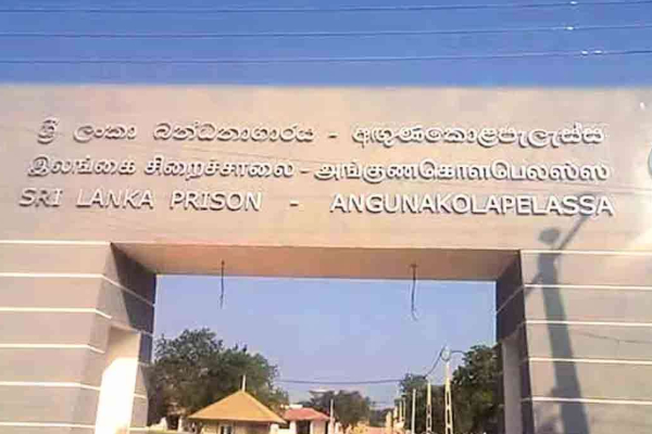 கைதியை கொலை செய்ய சிறைக்குள் சயனைடு! பல்லியை வைத்து செய்த சோதனையில் மிரண்டுபோன அதிகாரிகள் | Cyanide Inside The Prison To Kill The Prisoner