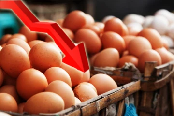 முட்டை விலை குறைப்பு: முட்டை உற்பத்தியாளர்கள் சங்கம் அறிவிப்பு