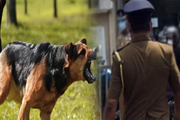 கைது செய்ய சென்ற பொலிஸ் அதிகாரிகளை நாயை விட்டு கடிக்க செய்த இருவர் கைது
