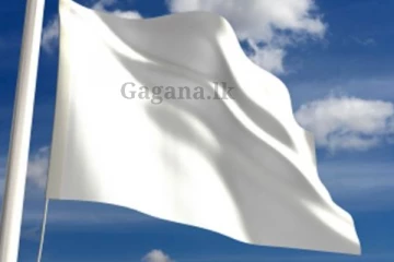 රසික රසිකාවියන් හඬවමින්, රංගන ශිල්පියෙක් වන දේශපාලකයෙක් දිවි ගමනට සමු දෙයි.. (PHOTOS)