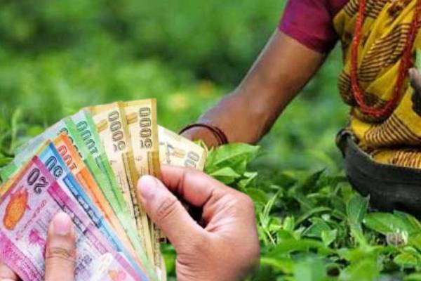 தோட்டத் தொழிலாளர்களின் அடிப்படை வேதனம் - முன்னெடுக்கப்பட்ட போராட்டம் | Plantation Workers Salary Increase
