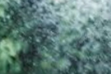 අදික වර්ශාව නිසා පොලොන්නරුවේ සිදු කල දේ