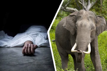 வயலுக்குச் சென்ற விவசாயி யானை தாக்கி பலி