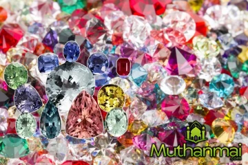 இலங்கையிலிருந்து இரத்தினக்கல் கடத்தல் : கைதான சீன தந்தையும் மகளும்