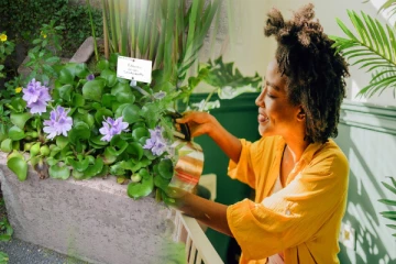 வாஸ்துவின் பெயரால் வீட்டுக்குள் வரும் ஆகாயத் தாமரையால் இவ்வளவு ஆபத்தா!