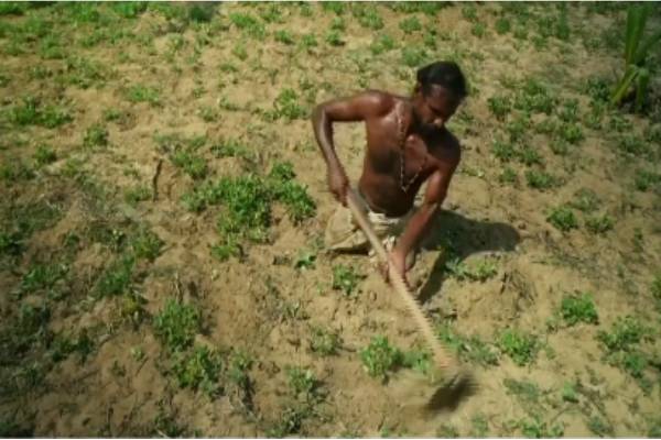 இலங்கை போரால் உணவுக்கு வழியில்லாமல் தவிக்கும் ஈழத்தமிழர்கள் - நெஞ்சை உருக்கும் காட்சிகள் | Sri Lankan Tamil Suffering From Loss Of Livelihood