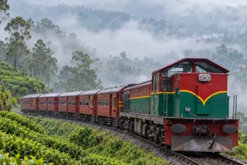 சீரற்ற காலநிலை; ரயில் போக்குவரத்து நிறுத்தம்