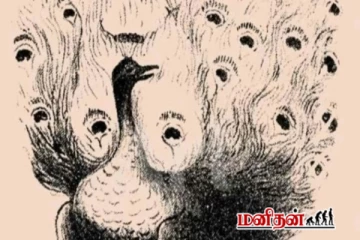 படத்தில் மயிலை தவிர மனித முகத்தை கண்டுபிடிக்க முடியுமா?