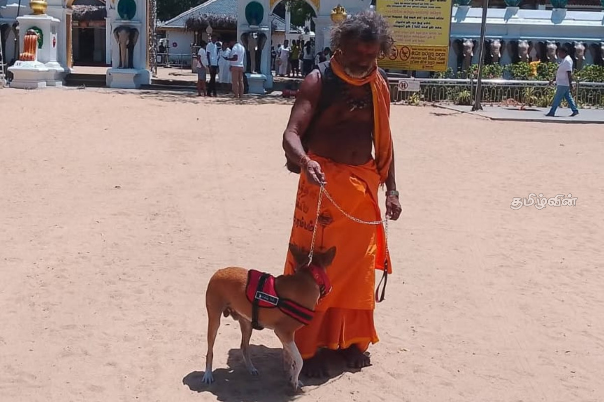 பாதயாத்திரை குழுவிலிருந்து அகற்றப்பட்ட சுப்பிரமணி நாய் - கதிர்காமத்தை சென்றடைந்தது..! | Subramaniam Owner Has Taken The Dog Kathirgamam பாதயாத்திரை குழுவிலிருந்து அகற்றப்பட்ட சுப்பிரமணி நாய் - கதிர்காமத்தை சென்றடைந்தது..! | Subramaniam Owner Has Taken The Dog Kathirgamam