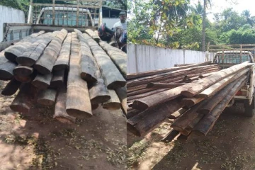 யாழில் சட்டவிரோதமாக பனை மர குற்றிகளை ஏற்றிச் சென்றவர் கைது