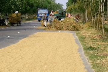 தமிழர் பகுதிகளில் தார்ப்படுக்கை வீதிகளில் உலரவிடும் நெல் தொடர்பில் அதிர்ச்சி தகவல்!