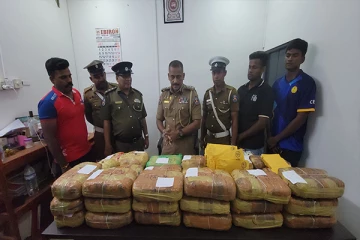 யாழில் 87 கிலோ கேரள கஞ்சா மீட்பு