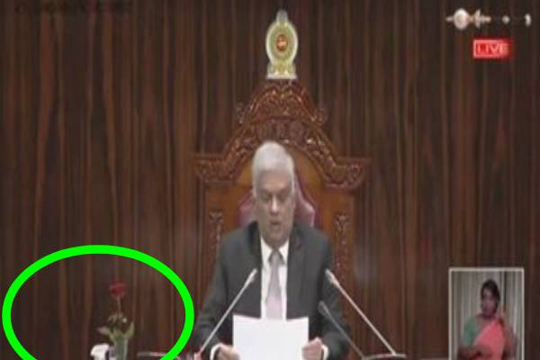 ஜனாதிபதி ரணில் அருகில் ஒற்றை சிவப்பு ரோஜா!  வைரலாகும் புகைப்படம் | A Single Red Rose Near President Ranil Viral Photo