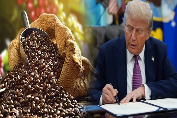 அமெரிக்கா - தாய்வான் வர்த்தக ஒப்பந்தம்: இறக்குமதி பொருட்களுக்கு வரிக்குறைப்பு! | Us Taiwan Trade Agreement