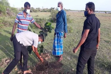 முள்ளிவாய்க்கால் நினைவேந்தலன்று நடப்பட்ட மரக்கன்று பிடுங்கி எறியப்பட்டுள்ளது