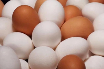 முட்டையின் விலையில் ஏற்படவுள்ள மாற்றம்