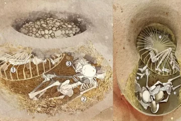 6 ஆயிரம் ஆண்டுகளுக்கு முன் ஐரோப்பாவில் நரபலி...குருதியை உறைய வைக்கும் கொலைகள் இதோ!