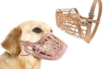 வளர்ப்பு நாய்களுக்கு வாய்க்கவசம் கட்டாயம் - வெளியான அதிரடி அறிவிப்பு!