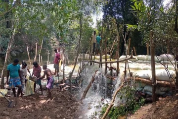 திரியாய் விவசாயிகளின் புதிய முயற்சி