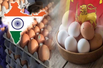 இந்தியாவிலிருந்து 6 மில்லியன் முட்டைகள் இறக்குமதி