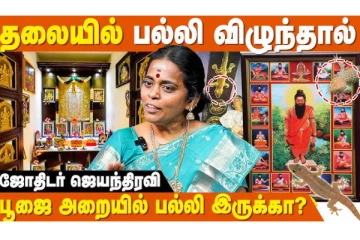 பல்லி தலைக்கு மேல் விழுந்தால் நன்மையா? தீமையா?